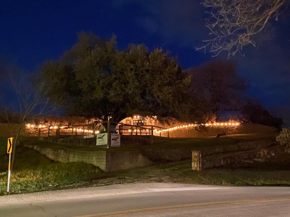 Live Oak *