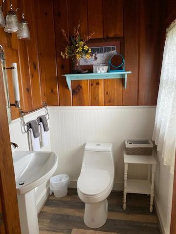 Bed & Breakfast Live Oak