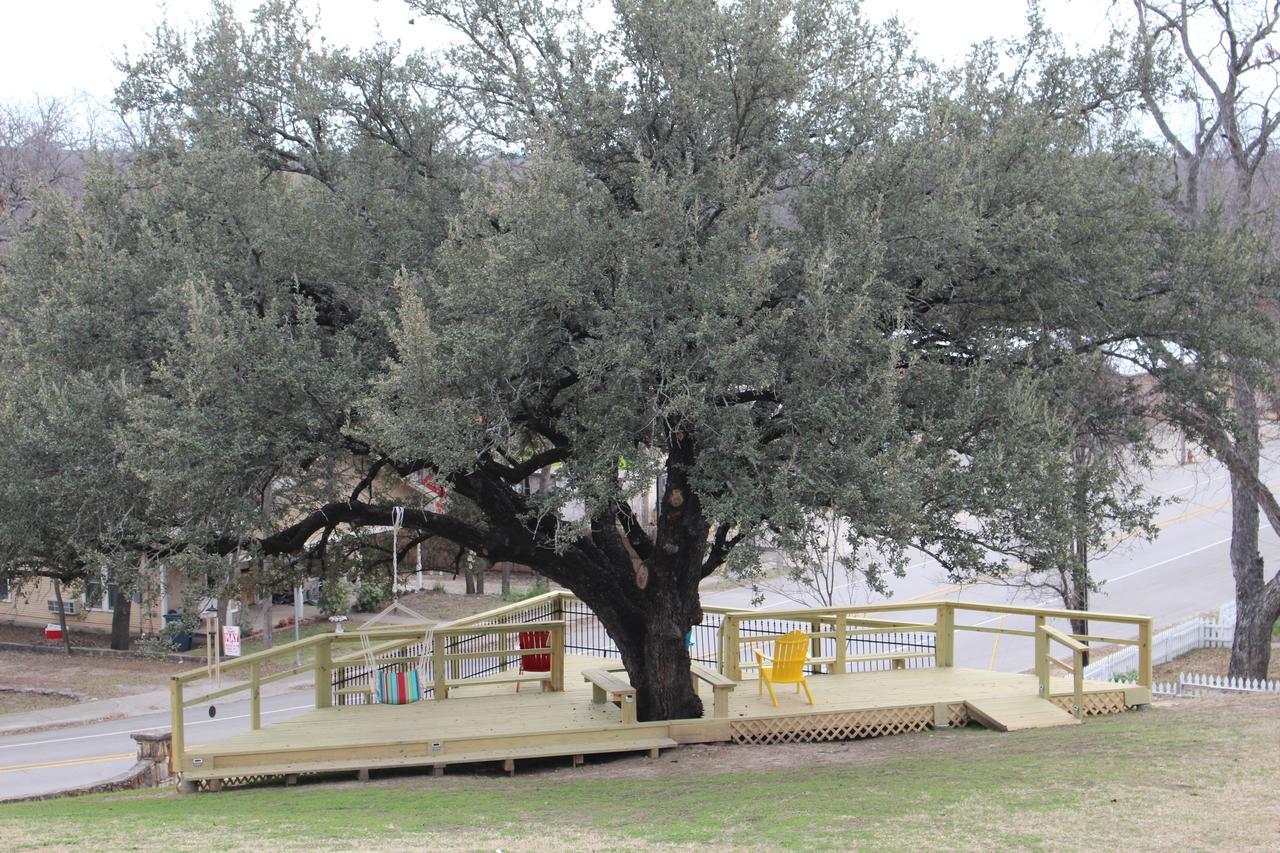 Live Oak *